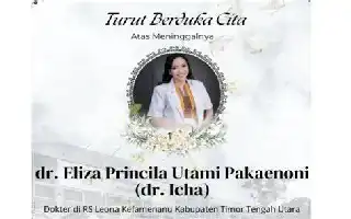 Kemenkes Dalami Dugaan Intimidasi terhadap dr. Icha di NTT