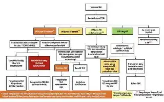 Optimalisasi Dana Desa untuk Penanggulangan HIV/AIDS, Tuberkulosis, dan Malaria di Purworejo