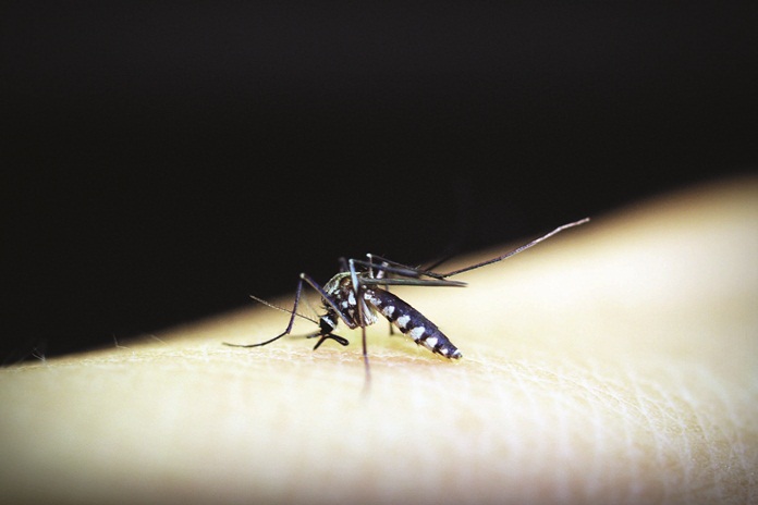 Mahasiswa UNAIR Rancang Malaiscope, Teknologi Cerdas untuk Percepat Deteksi Malaria