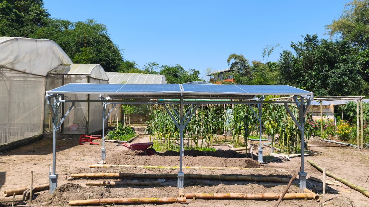 UGM Perkenalkan Teknologi Agrivoltaic untuk Kedaulatan Pangan dan Energi Berbasis Hijau