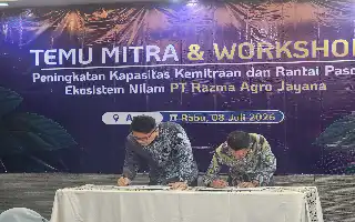 Dorong Hilirisasi Minyak Atsiri, Universitas Samudra Gandeng PT Razma Agro Jayana Kembangkan Nilam