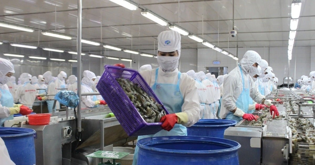 Lonjakan Biaya Logistik Ancam Daya Saing Ekspor Produk Pertanian Vietnam