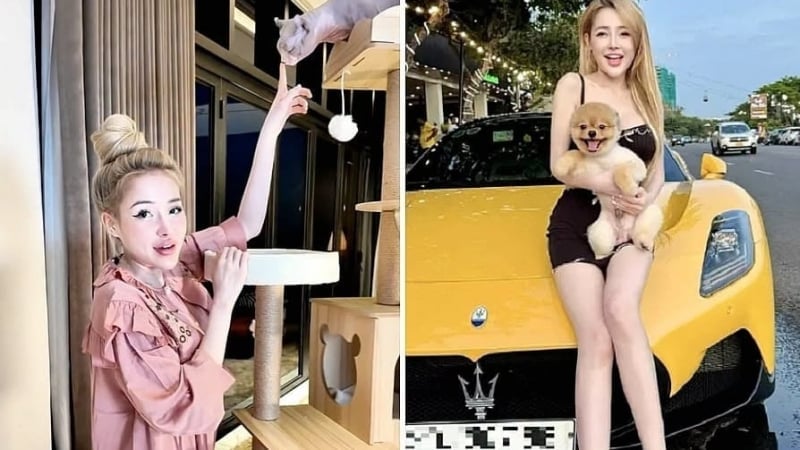Kilas Balik Showbiz: Transformasi Ngan 98 hingga Kembalinya Tang Thanh Ha ke Layar Lebar