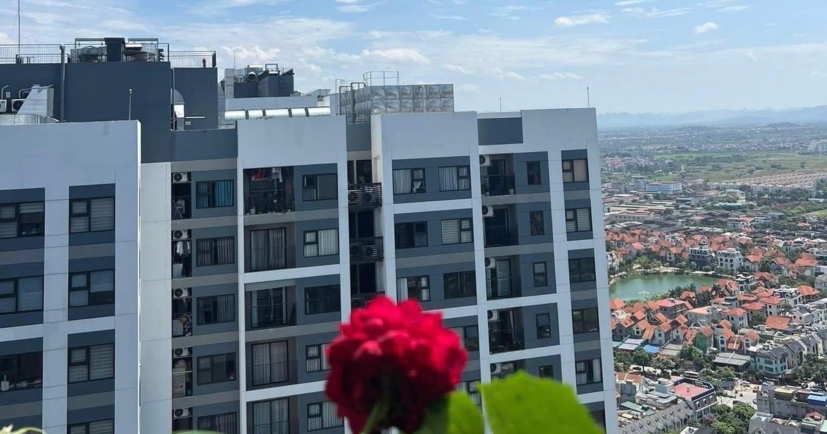 Kementerian Konstruksi Percepat Revisi UU Perumahan dan Bisnis Properti untuk Sesi Agustus 2026