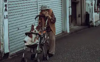 Angka Kelahiran Menyusut, Produsen Perlengkapan Bayi di Jepang Ramai-Ramai Rambah Pasar Hewan Peliharaan