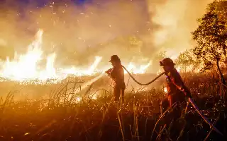 Karhutla Sumatra dan Kalimantan Picu Krisis Kesehatan Lintas Batas, Amnesty International Desak Tindakan Nyata