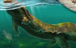 Mengungkap Limnospondylus ajimuensis, Spesies Salamander Raksasa Purba Baru Asal Jepang