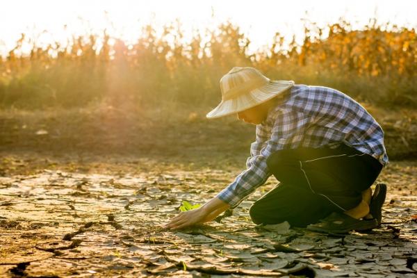 Studi Terbaru Ungkap Biosfer Bumi Mampu Bertahan Hingga 1,8 Miliar Tahun Mendatang