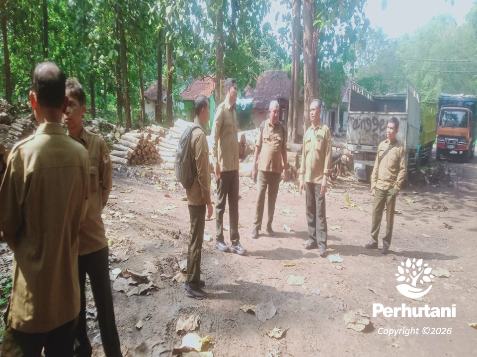 Perhutani KPH Pemalang Optimalkan Pelayanan dan Penjualan Kayu di TPK Slarang