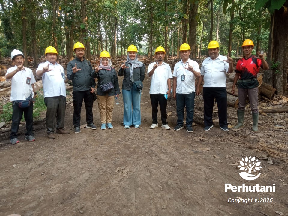 Perhutani Pemalang dan BPHL Wilayah VIII Periksa Tata Kelola Peredaran Kayu di Dua TPK