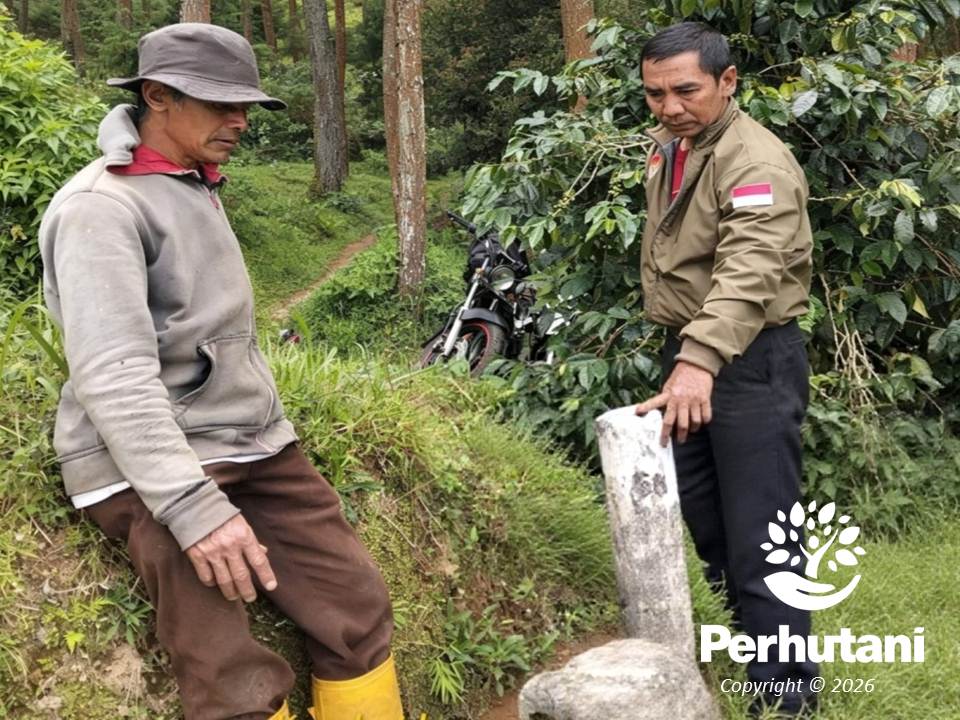 Perhutani dan LMDH Sumbing Lestari Bersama-sama Periksa Pal Batas Hutan di Temanggung
