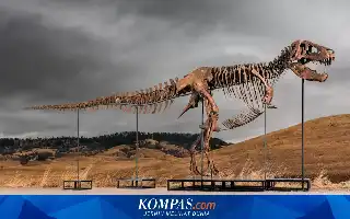 Lelang Fosil T-Rex 'Gus' Senilai Rp542 Miliar Picu Polemik Akses Sains