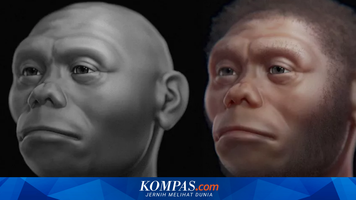 Studi Terbaru Ungkap Homo floresiensis Bukan Pemburu Gajah, Melainkan Pemulung Sisa Komodo