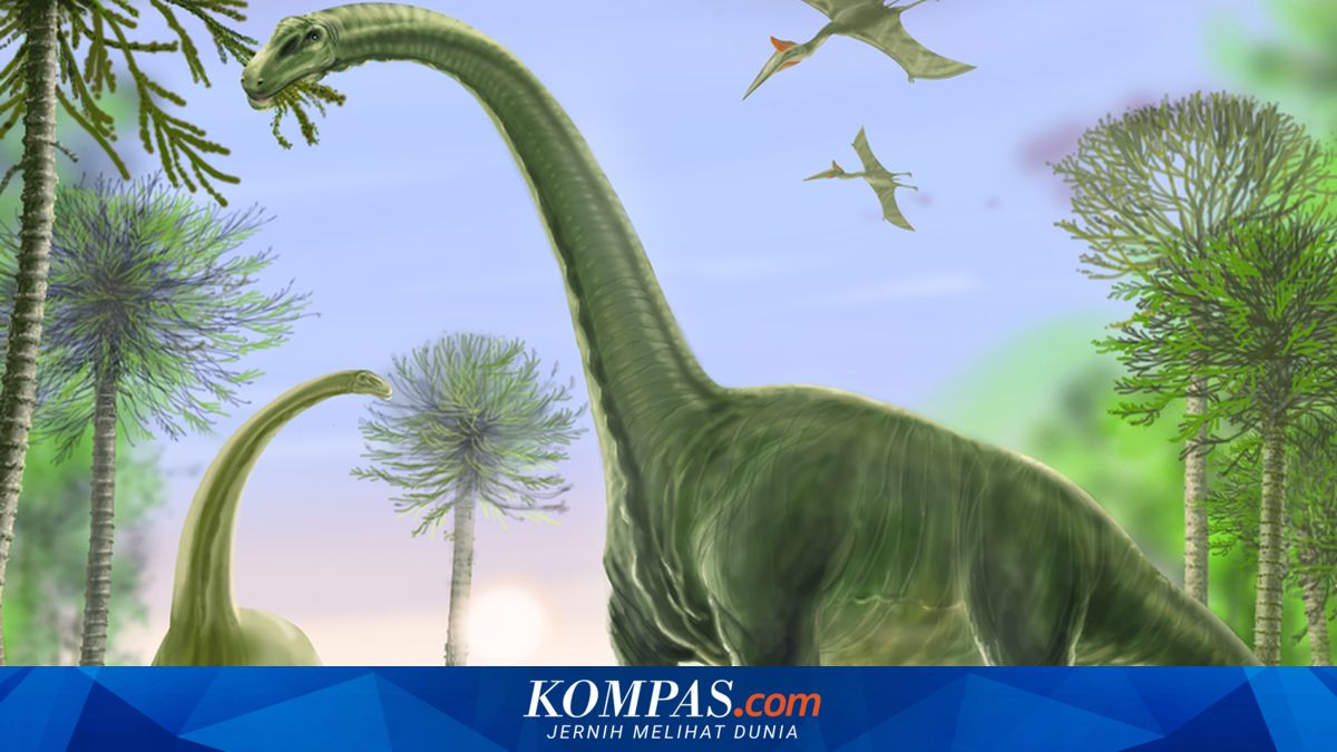Terabaikan Empat Dekade, Fosil Dinosaurus Pertama Antartika Akhirnya Teridentifikasi