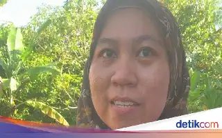 Tantangan Petugas Sensus Ekonomi di Kubu Raya: Hadapi Anjing Hingga Risiko Pelecehan