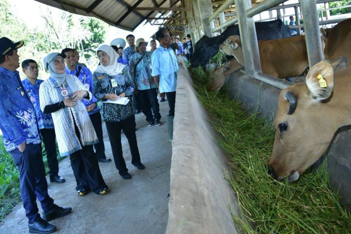 Bupati HSS Minta Petani Tingkatkan Kompetensi dan Adaptasi Teknologi Pertanian