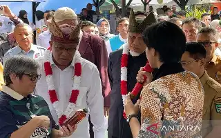 Kementerian Lingkungan Hidup Ingatkan Pemda Waspadai Potensi Kerugian Bisnis Perdagangan Karbon