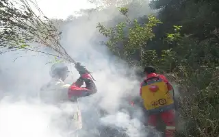 Ancaman Kabut Asap Karhutla Tambora, Dokter Ingatkan Dampak Fatal Polusi PM2.5 pada Kesehatan Anak