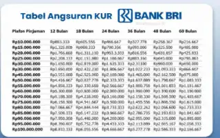 Dukungan Pembiayaan UMKM: Simak Simulasi Angsuran dan Syarat KUR BRI Rp100 Juta