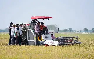 Akselerasi Pertanian Modern di Indramayu, Produktivitas Padi Tembus 10,45 Ton per Hektare