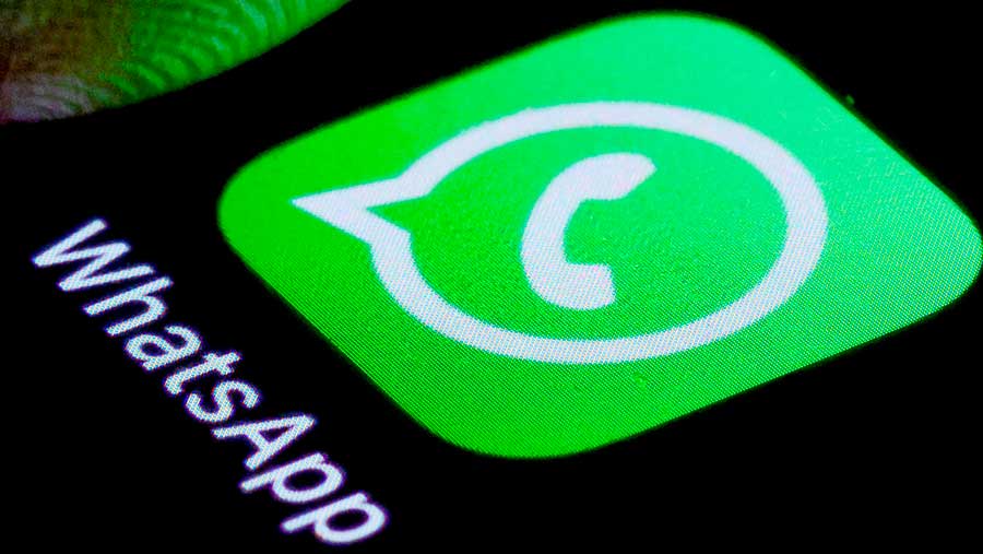 Trik Mengetahui Pesan WhatsApp Telah Dibaca Meski Fitur Centang Biru Nonaktif