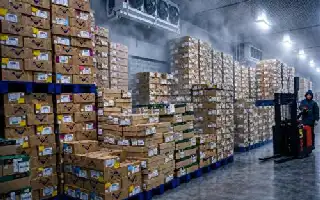 Strategi Diversifikasi Bisnis Daging Beku Dongkrak Omzet TGUK hingga Rp200 Miliar