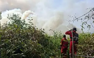 Tanggulangi Belasan Ribu Kasus ISPA Akibat Karhutla, Kemenkes Mobilisasi Ratusan Tenaga Medis ke Tujuh Provinsi