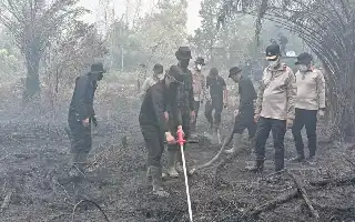 Atasi Kebakaran Gambut Kalteng, Polri Terapkan Inovasi Serbuk Pati Singkong Ramah Lingkungan