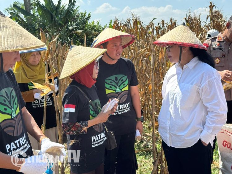 Dorong Ketahanan Pangan, GP Ansor Semarang Sukses Kelola Lahan Produktif
