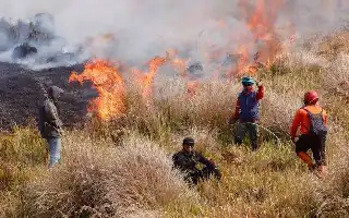 Ubah Paradigma Penanganan Karhutla, Pemerintah Integrasikan Teknologi Satelit dan Restorasi Gambut dari Hulu