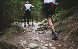 Tren Trail Run: Panduan Lengkap Persiapan Fisik, Perlengkapan, dan Biaya untuk Pemula