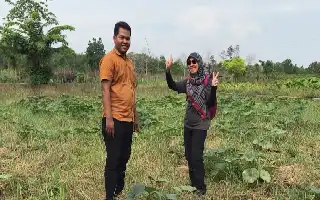 F1 Embio: Inovasi Pertanian Tanpa Bakar Solusi Pulihkan Lahan Gambut di Kalimantan Barat