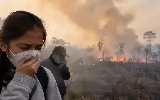 Dampak Karhutla di Sumatra dan Kalimantan: DPR Desak Penanganan Spesifik Ancaman Kesehatan Publik